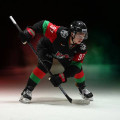 Перчатки BAUER PRO TEAM KHL ALL STAR GAME 2019 SR