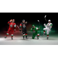 Перчатки BAUER PRO TEAM KHL ALL STAR GAME 2019 SR
